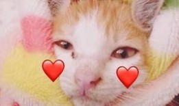 挠脚底板视频,轻松缓解疲劳，促进健康生活