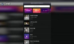 朋友圈视频怎么加水印,轻松打造个性化水印