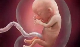 胎儿腹内胎动视频大全,见证生命律动的奇迹瞬间