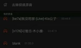 怎么拍带音乐的视频,捕捉旋律之美