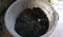 头发做酱油视频,揭秘传统酿造工艺的奇妙之旅