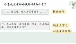我不能失信教学视频,践行教育使命——揭秘“我不能失信”教学视频