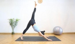 中老年瑜伽教学视频,轻松入门，健康生活新篇章