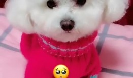 我家里面特别困难 视频,我家里的艰难岁月