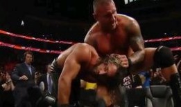 毒蛇蓝迪奥顿视频,视频中的惊险瞬间与生存智慧