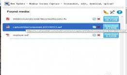 怎么下载网页里的视频,一键掌握视频下载技巧