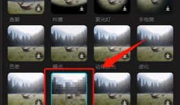 抖音视频怎么马赛克,抖音视频马赛克效果轻松实现教程