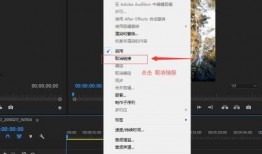 pr视频和音频分离,探索PR视频处理新技巧