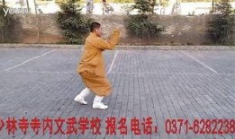 七星拳视频,视频教学带你领略传统武术魅力