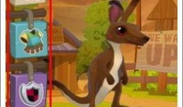 袋鼠跳的视频,活力四溢的动物运动瞬间